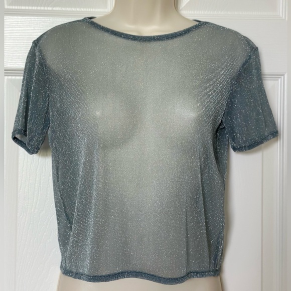 Brandy Melville Shimmering Gray-Blue Short Sleeve Top - Picture 1 of 3